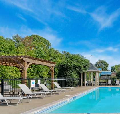 A large swimming pool surrounded by sun loungers and trees.
