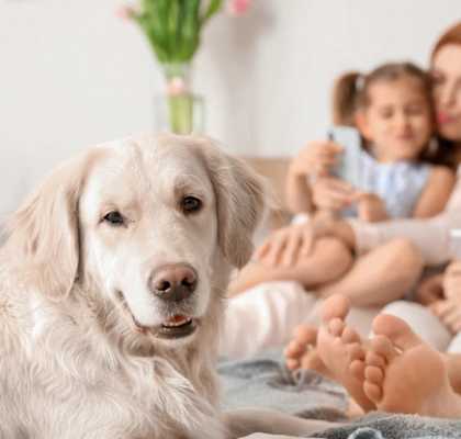 A family is sitting on a couch with a dog in front of them.