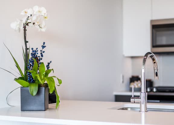 Sink With Faucet at Viridian on Sheridan, Chicago, Illinois