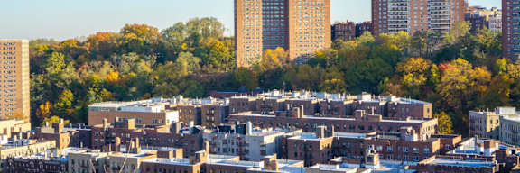 A cityscape with buildings and trees in the background.
