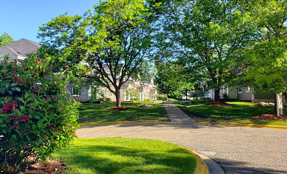 a tree lined street in a neighborhood with houses