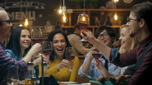 Group of Friends Toasting with Wine Glasses at Bar