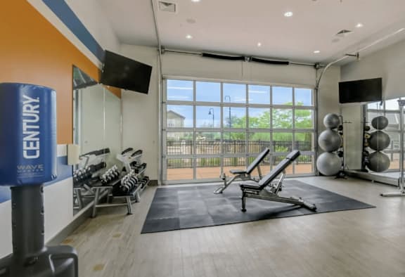 Spacious Gym Area at Reserve at Romeoville, Romeoville, IL