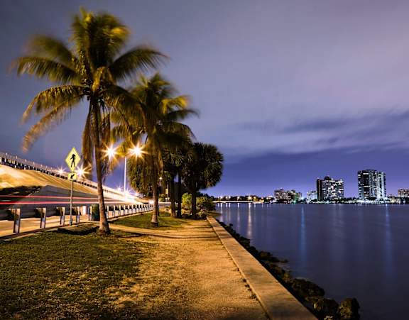 A long walkway with palm trees on either side is illuminated by street lights.