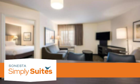 A hotel room with a bed, couch, and television.