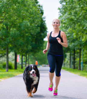 a woman running with her bernese mountain dog