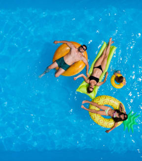 a group of people swimming in a pool