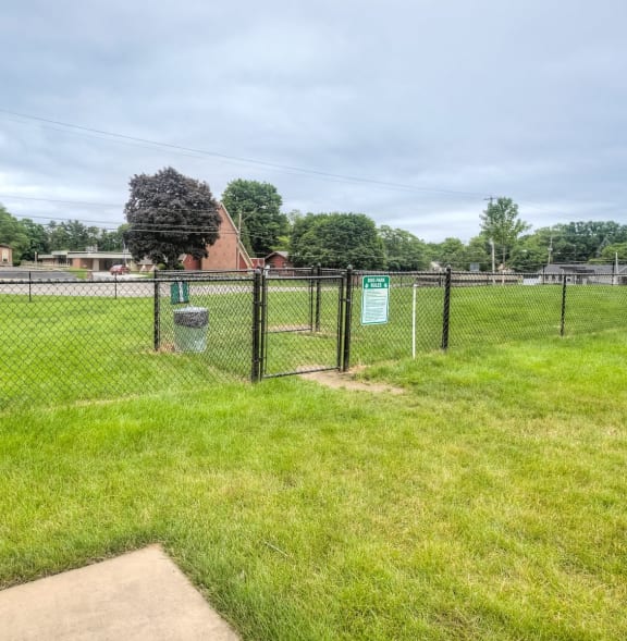 dog park