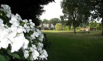 a view of a park with white flowers in the foreground