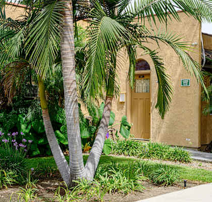 a building with a yellow door and palm trees in front of it