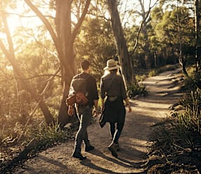 Two people walking on a path in a sunny forest.