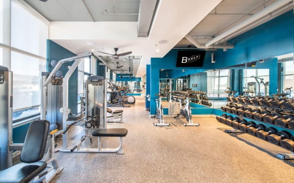 a gym with cardio equipment and weights on the floor and a blue wall with windows at The Baxly, Georgia