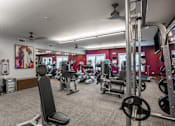 Thumbnail 32 of 54 - Fitness Center at Palms at Magnolia Park in Riverview, FL