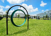 Thumbnail 46 of 54 - Dog Park at Palms at Magnolia Park in Riverview, FL