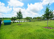 Thumbnail 47 of 54 - Dog Park at Palms at Magnolia Park in Riverview, FL