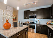 Thumbnail 4 of 54 - Kitchent at Palms at Magnolia Park, Riverview, FL, 33578