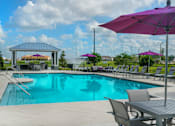 Thumbnail 37 of 54 - Swimming Pool at Palms at Magnolia Park in Riverview
