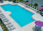 Thumbnail 39 of 54 - Swimming Pool at Palms at Magnolia Park in Riverview, FL