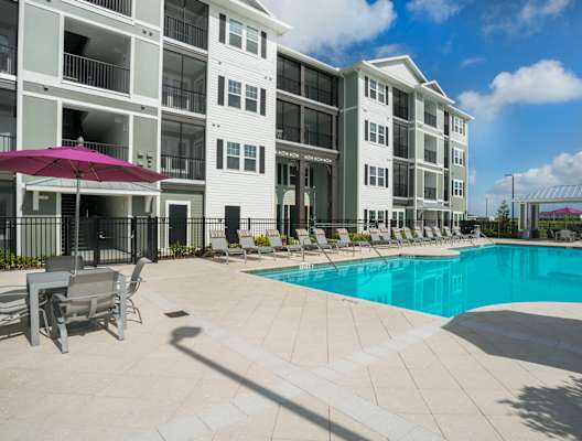 Swimming Pool at Palms at Magnolia Park in Riverview, FL