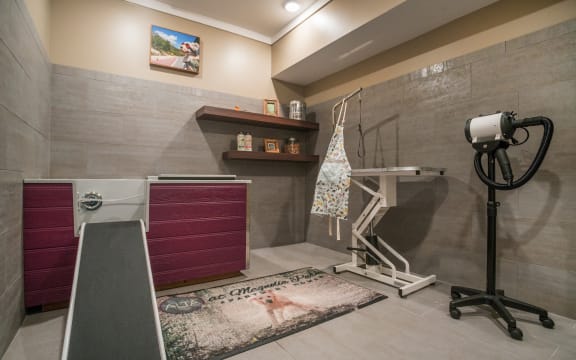 Pet Spat at Palms at Magnolia Park, Riverview, FL, 33578