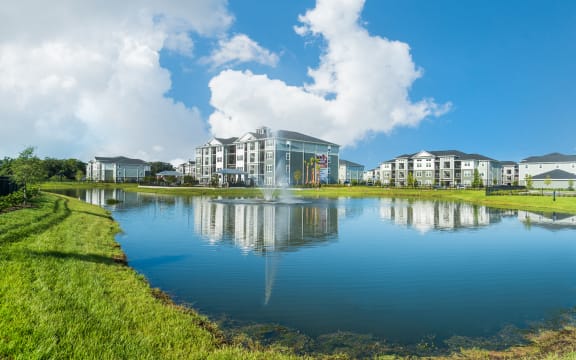 Pond at Palms at Magnolia Park in Riverview, FL