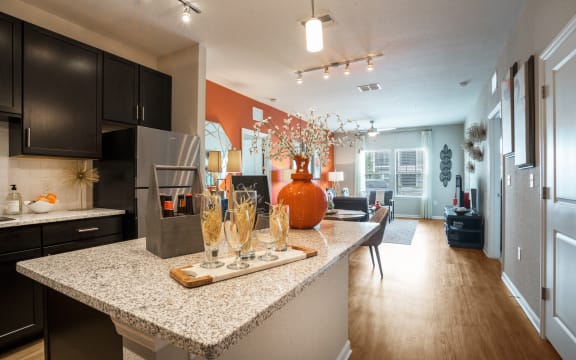 Large Floor Plans at Palms at Magnolia Park in Riverview, FL