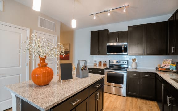 Kitchent at Palms at Magnolia Park, Riverview, FL, 33578