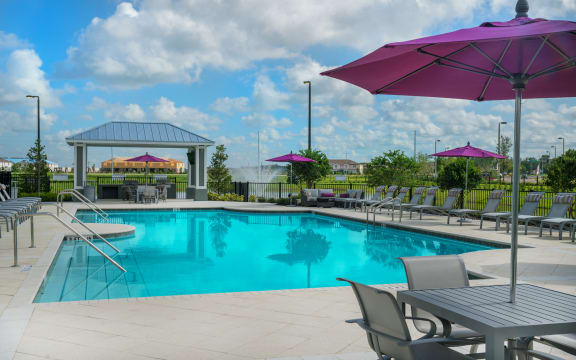 Swimming Pool at Palms at Magnolia Park in Riverview