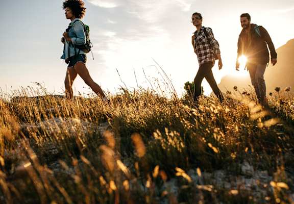 Group of Friends Hiking at Sunset Over Field