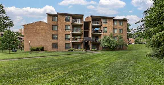 Lush Green Courtyard Wit Walking Paths at The Apartments at The Sycamores, Reston