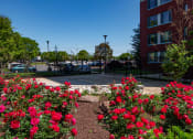 Thumbnail 17 of 27 - Steward Tower Apartments Landscaped Patio