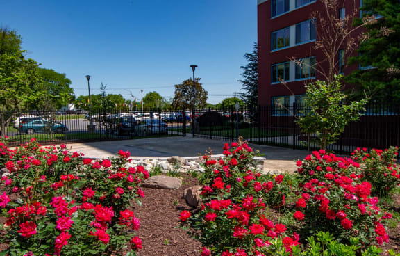 Steward Tower Apartments Landscaped Patio