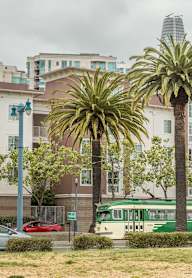 A green bus is parked in front of a row of palm trees.