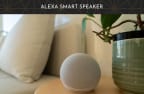 a speaker on a table next to a vase with a plant