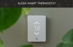 a smart thermostat sits on a wall next to a plant