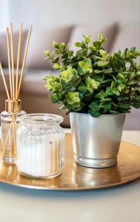 a tray with candles and a plant on a table in a living room at The Courts Midtown, TN 38104