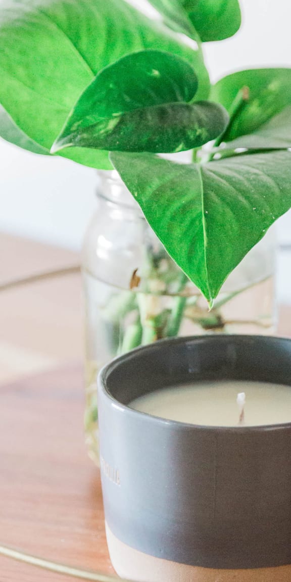 A grey candle sits on a table next to a plant and some decorative eggs.