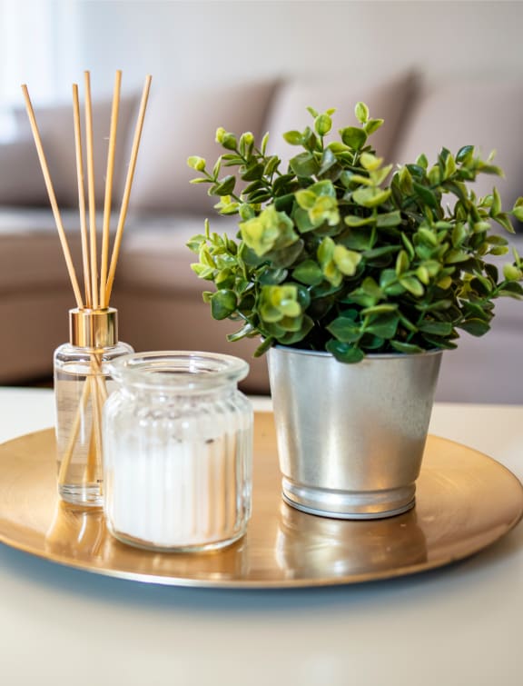 a tray with a plant and candles on a coffee table