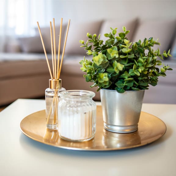 A table with a tray, a candle, a diffuser, and a plant.