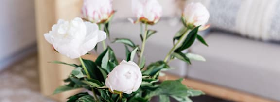 A bouquet of white flowers in a blue vase.