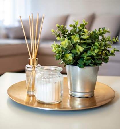 a tray with a plant and candles on a coffee table