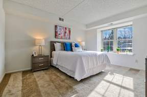 A bedroom with carpet flooring and a large window providing ample natural light.
