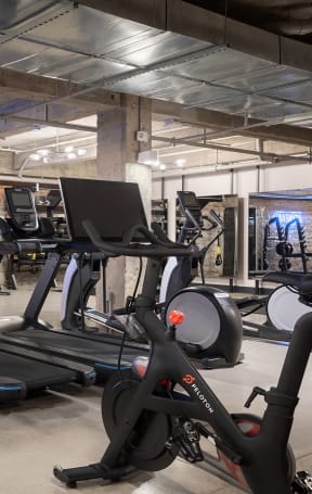 a group of treadmills and other exercise equipment in a gym