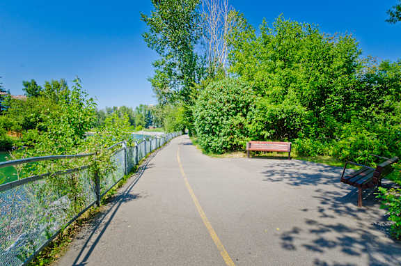 A paved path with a bench and green trees on both sides.