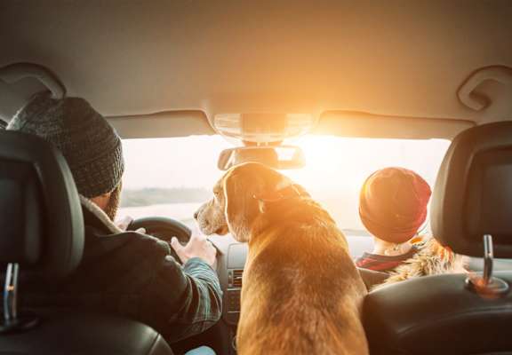 A person is driving a car with a dog sitting on the passenger seat.