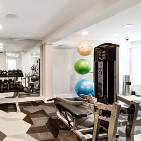 a gym with a row of exercise machines and a blue ball