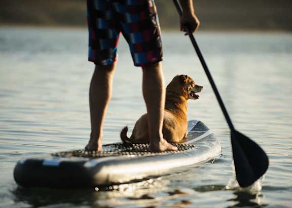 A man and his dog are paddleboarding on the water.