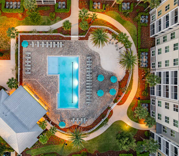 A pool surrounded by palm trees and a building.