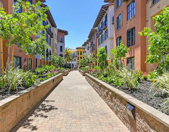 Pathway at Renaissance Square, Concord, 94520