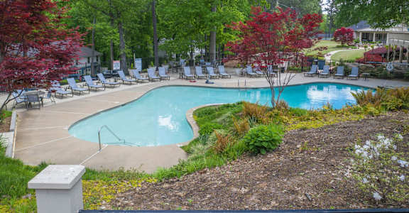 A pool surrounded by trees and lawn chairs.